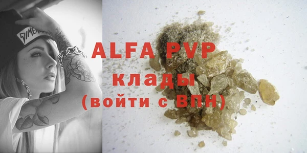 mdpv Бородино