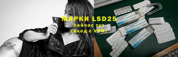 mdpv Бородино