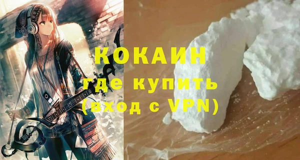mdpv Бородино