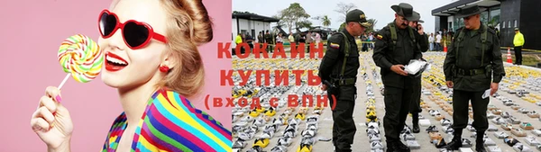 mdpv Бородино